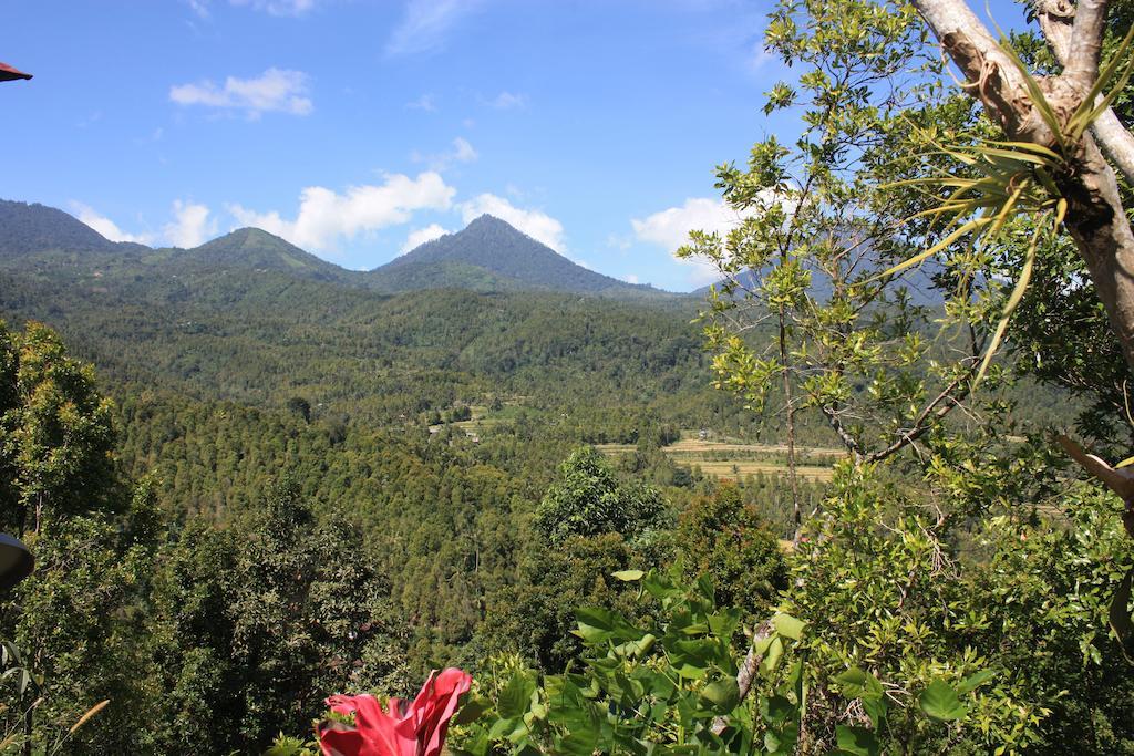 Made Oka Homestay And Warung Мундук Экстерьер фото