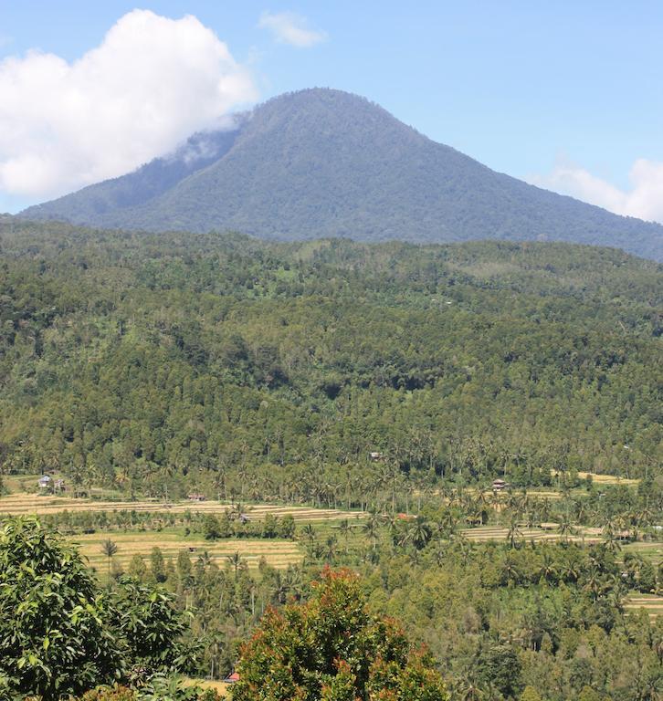 Made Oka Homestay And Warung Мундук Экстерьер фото